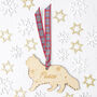 Personalised Pet Name And Shape Christmas Decoration, thumbnail 3 of 10