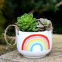 Rainbow Ceramic Hanging Planter With Choices Of Plants, thumbnail 2 of 4