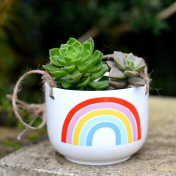 Rainbow Ceramic Hanging Planter With Choices Of Plants, 2 of 4