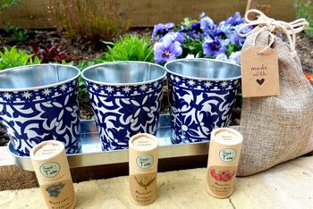 Forget Me Not Seeds With Pots On A Tray, 2 of 8