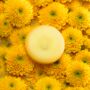 Minosa Melts, thumbnail 2 of 4