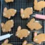 Easter Bunny Gingerbread Mix With Cutter And Icing, thumbnail 3 of 7