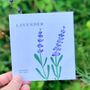 Womens Luxury Gardening Gloves And Flower Garden Seeds, thumbnail 8 of 8