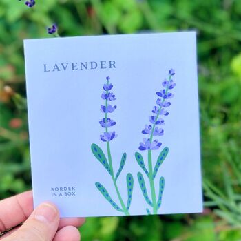 Womens Luxury Gardening Gloves And Flower Garden Seeds, 8 of 8