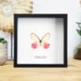 Blushing Phantom Butterfly Moth Insect Bug Entomology Taxidermy Box Frame, thumbnail 1 of 3