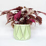 Origami Self Watering Eco Plant Pot: 15cm | Sage, thumbnail 4 of 8