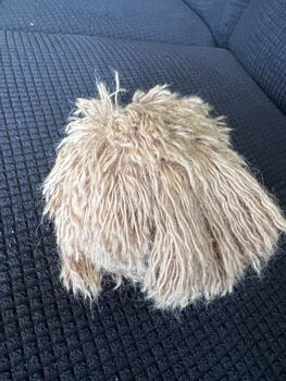 Dark Apricot Cockapoo Cavapoo Bag Charm Head, 6 of 6