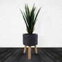 Leaf Design Lunar Moon Black Planter With Stand, thumbnail 1 of 10