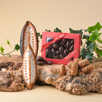 Dark Chocolate Covered Brazil Nuts, 2 of 7