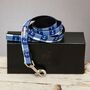 Anglesey Blue And White Check Nautical Dog Lead, thumbnail 1 of 7