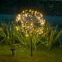Solar LED Dandelion Stake Light, thumbnail 1 of 3