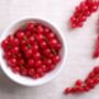 Fruit Plants, 'Redcurrant', thumbnail 11 of 11