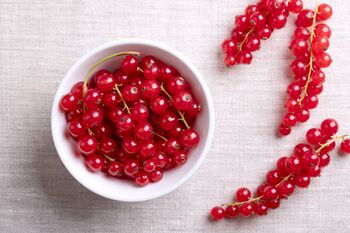Fruit Plants, 'Redcurrant', 11 of 11