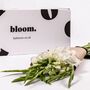 Arctic White Gladioli Fresh Flower Bouquet, thumbnail 4 of 4
