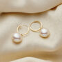 Large Pearl 9ct Gold Hoop Earrings, thumbnail 1 of 5