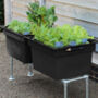 Small Self Watering Plastic Vegetable Planter, thumbnail 10 of 12
