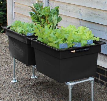 Small Self Watering Plastic Vegetable Planter, 10 of 12