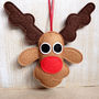 Rudolph And Carrot Felt Christmas Decoration Set, thumbnail 2 of 4