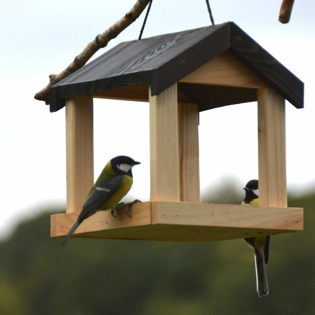 Hanging Bird Table, 1 of 2