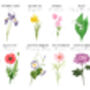 Birth Flower Month And Year Print, thumbnail 9 of 9