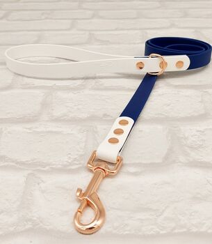 Waterproof Dog Collar And Lead Set Navy/White, 3 of 3
