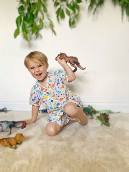 Boys Dinosaur Cotton Pyjama Set And Teddy Gift Box, 3 of 5