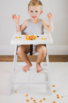 Personalised Highchair/Weaning Mat, 2 of 12