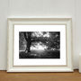 Light, Anglesey Abbey Gardens Photographic Art Print, thumbnail 1 of 4