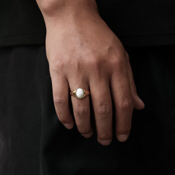 Silver Natural Pine Stone Signet Ring Steel Ring For Men, 5 of 7