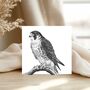 Peregrine Falcon Wildlife Greeting Card, thumbnail 3 of 6