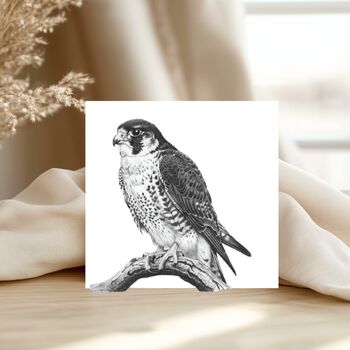 Peregrine Falcon Wildlife Greeting Card, 3 of 6