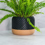 Carbon Peak Planter, thumbnail 2 of 4