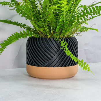 Carbon Peak Planter, 2 of 4
