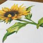 Hand Painted Watercolour Sunflower Print, thumbnail 7 of 8