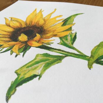 Hand Painted Watercolour Sunflower Print, 7 of 8