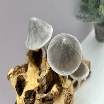 30cm Handcrafted Wooden Ink Cap Mushroom Statue Ornament Nature Gift On Teak Root, 2 of 6