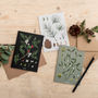 Box Of Eight Botanical Christmas Cards, Species, thumbnail 2 of 2