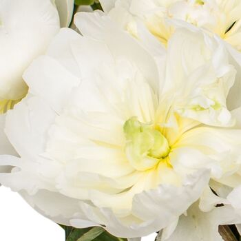Fresh Handmade White Peonies Bouquet, 2 of 3