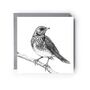 Thrush Bird – Hand Drawn Nature Greeting Card Illustration, thumbnail 2 of 5