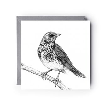 Thrush Bird – Hand Drawn Nature Greeting Card Illustration, 2 of 5