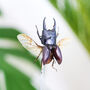Titan Stag Beetle Bug Entomology Glass Bell Jar, thumbnail 2 of 4