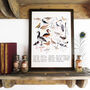 Aestes Wetland Birds Art Print, thumbnail 3 of 5