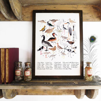 Aestes Wetland Birds Art Print, 3 of 5