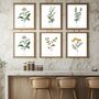 Set Of Six Vintage Botanical Art Prints | A4 Lithograph Style With Latin Names | Wall Art For Home Interiors, thumbnail 1 of 12