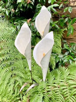 White Cala Lily Sculpture Art049, 4 of 6