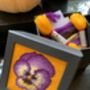 Pansy Stitch Your Own Box Tapestry Kit, thumbnail 7 of 7