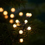 500 Compact Berry LED Christmas Tree Lights, thumbnail 2 of 2