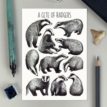 Wildlife Collective Nouns Postcard Pack Of Twelve, 4 of 8