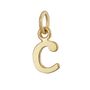Selection Of Gold Plated Letter Charms, thumbnail 5 of 12