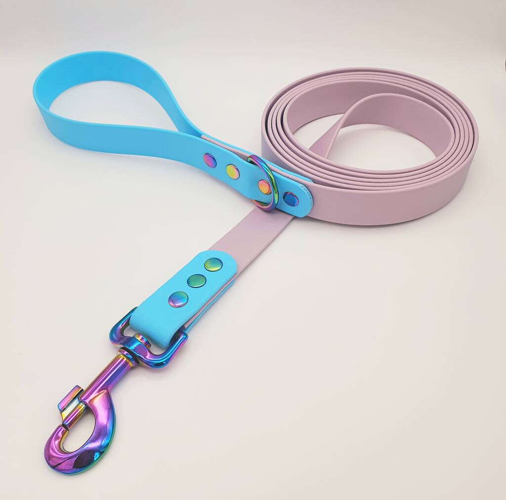 biothane dog leash